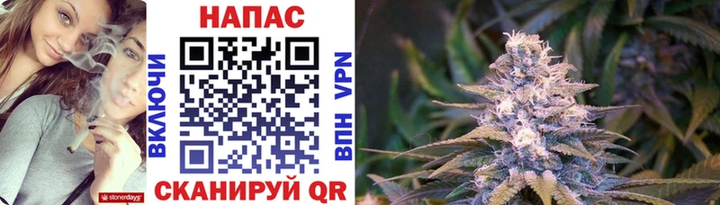 Бошки Шишки Amnesia  даркнет официальный сайт  Дрезна  купить наркотики цена 